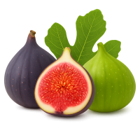 ametchin-Special Offer